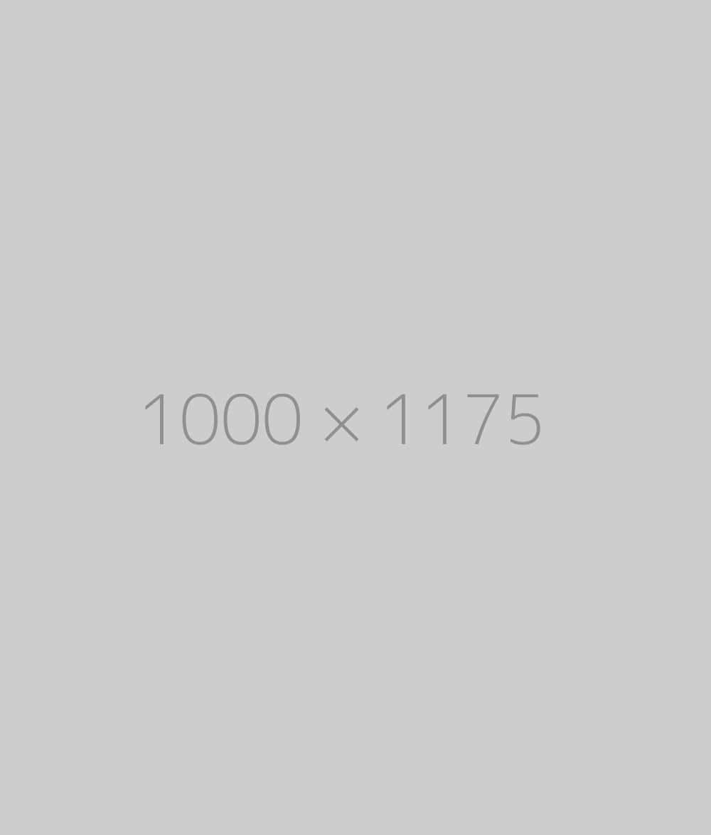 hongo 1000x1175-ph